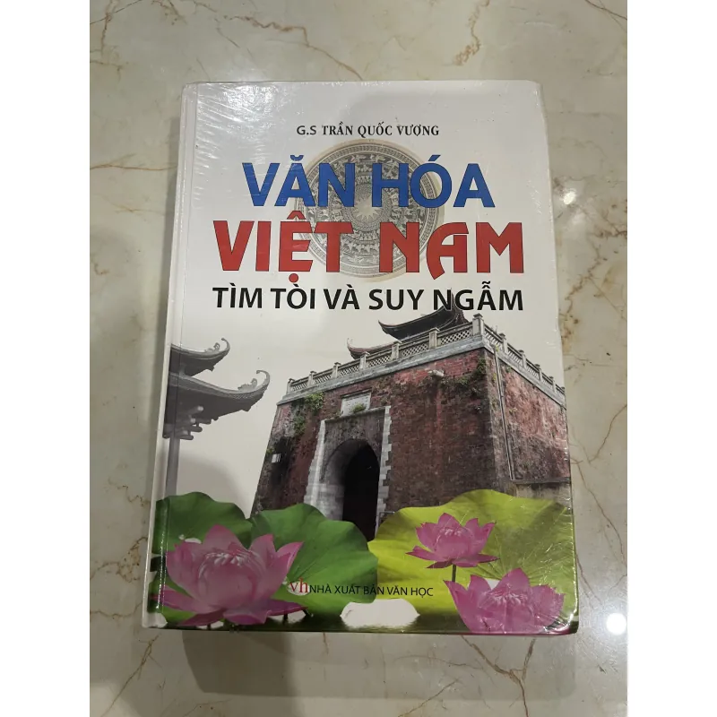 Văn hóa Việt Nam tìm tòi và suy ngẫm - Trần Quốc Vượng (b) 786342