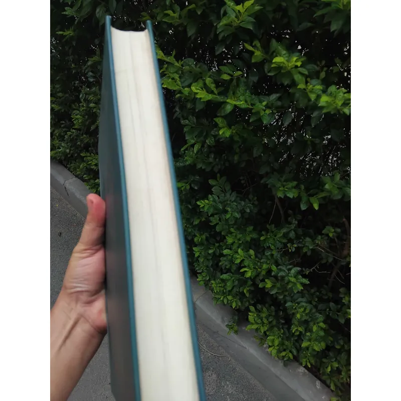 Việt Nam sử lược của Trần Trọng Kim  1024886