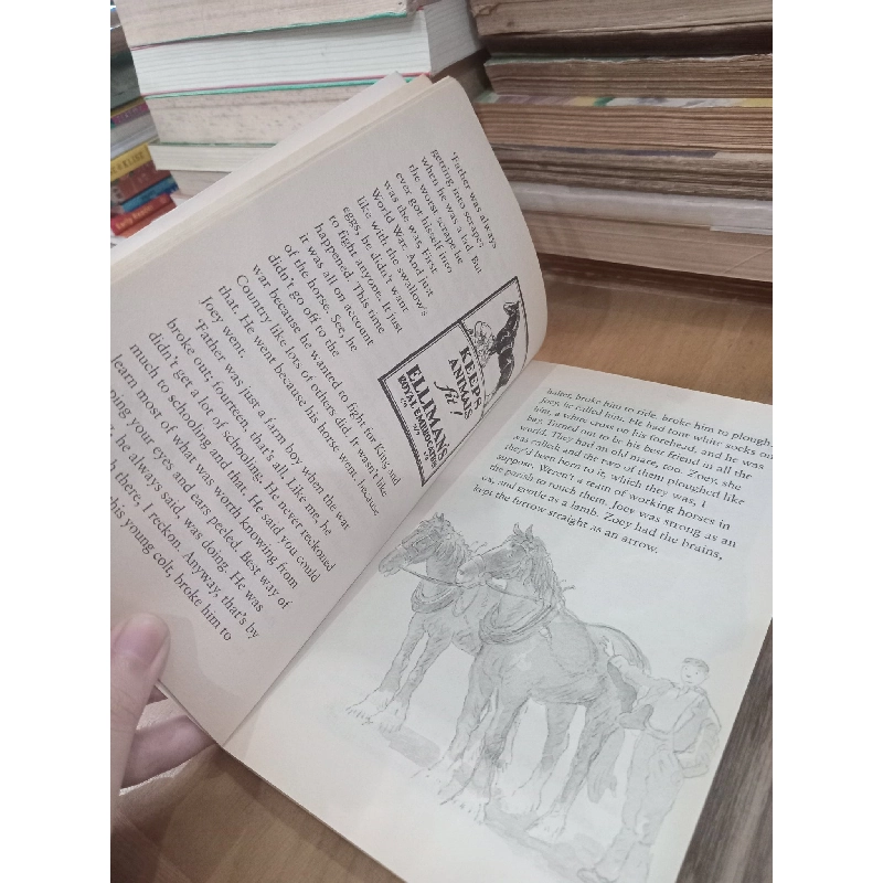 Farm boy - Michael Morpurgo 1022657