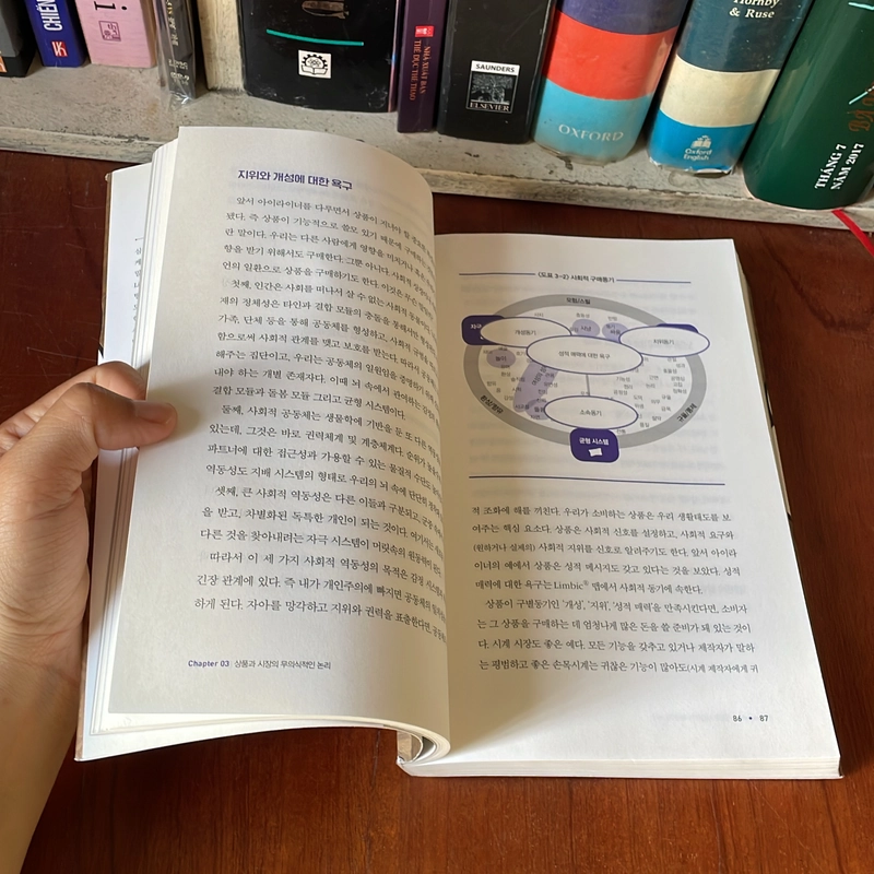 II BRAIN _ 인간의 소비심리를 지배하는 뇌과학의 비밀 _ 뇌, 욕망의 비밀을 풀다 539557
