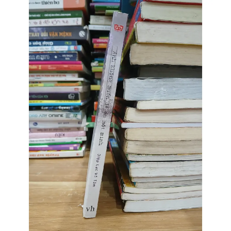 Anh không muốn để em một mình- Diệp Lạc Vô Tâm 601755