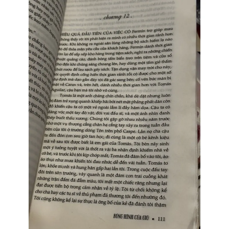 Bóng hình của gió 1001393