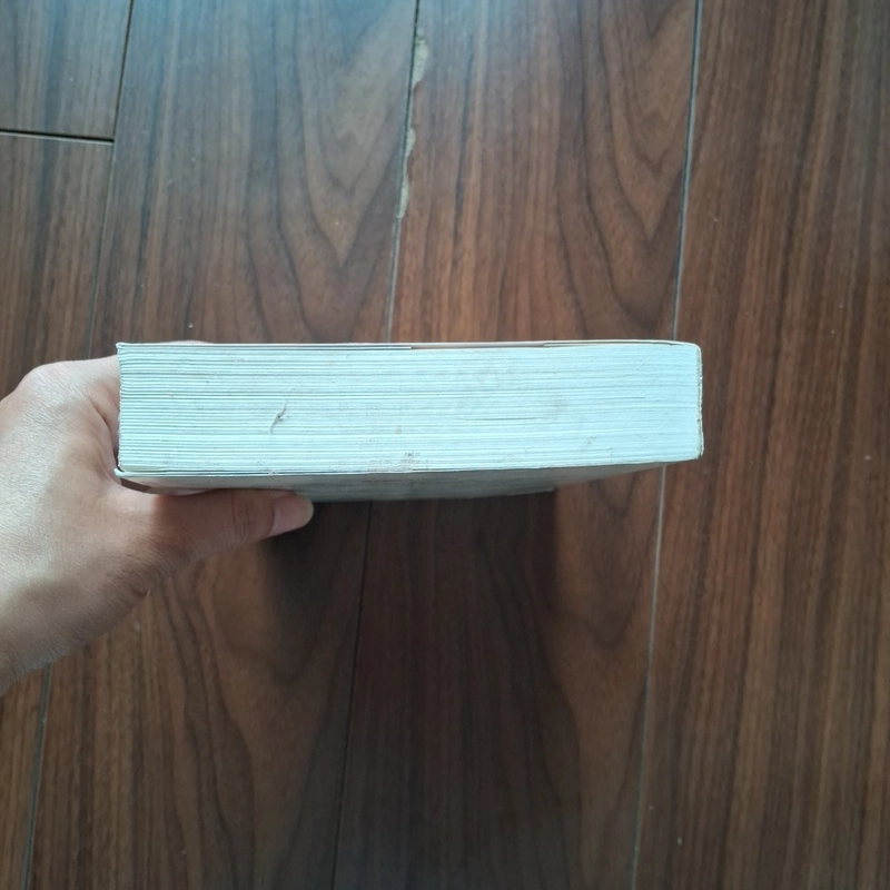 Tình đầu hay tình cuối 503403