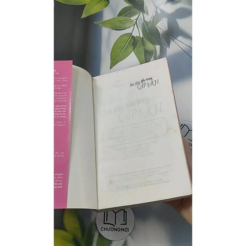 Hoa hồng dấu trong cặp sách - Tôn Văn Hiểu 688652