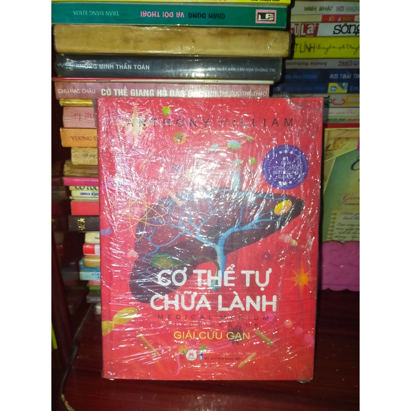 Cơ thể tự chữa lành 385518