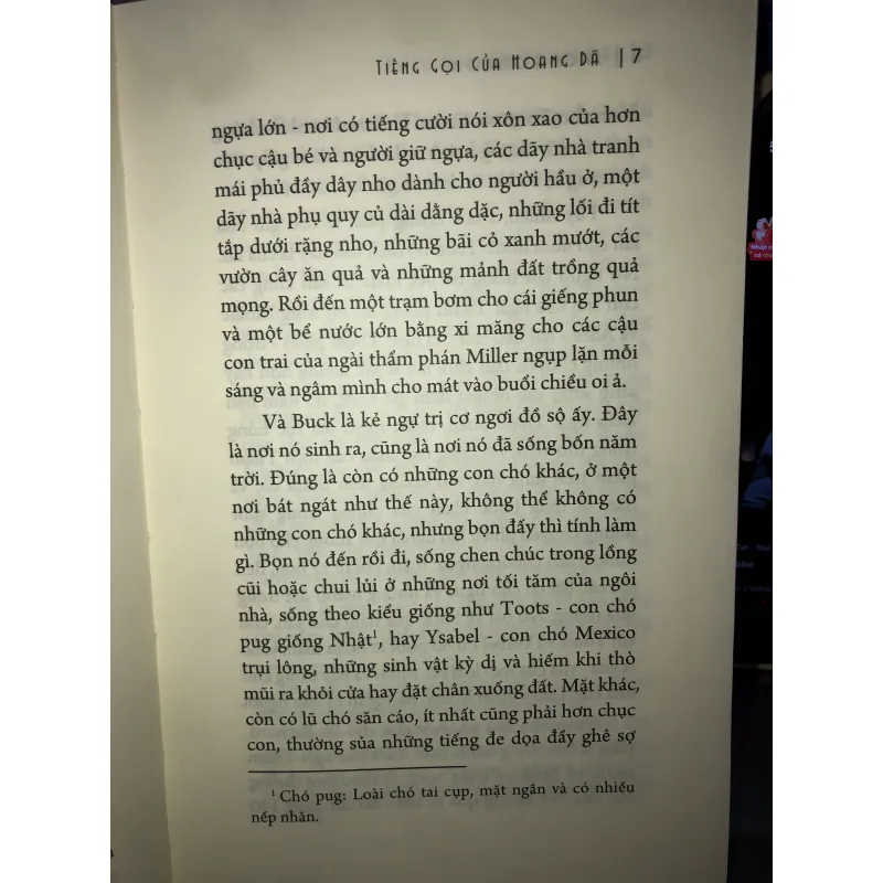 Tiếng gọi của hoang dã - Jack London 972750