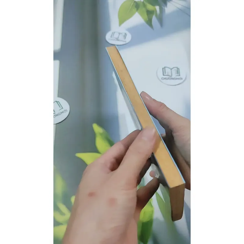 Ngàn Năm Chờ Đợi - Diệp Lạc Vô Tâm 744701