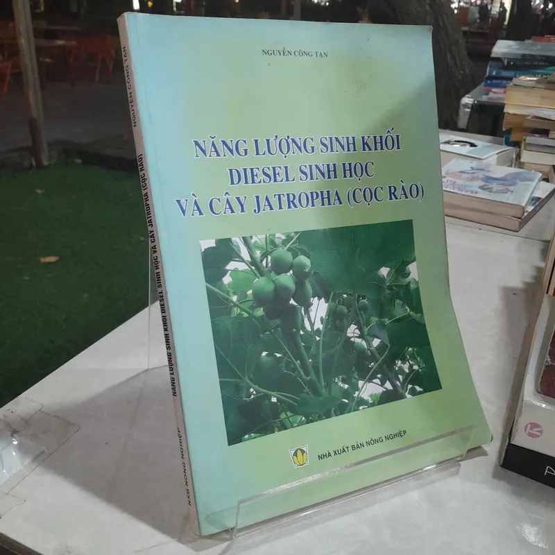 NĂNG LƯỢNG SINH KHỐI DIESEL SINH HỌC VÀ CÂY JATROPHA ( CỌC RÀO)
- Nguyễn Công Tạn
 557073