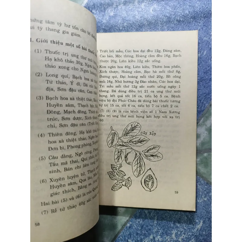 Đông Y trị ung thư - Gs Trần Văn Kỳ 1006283