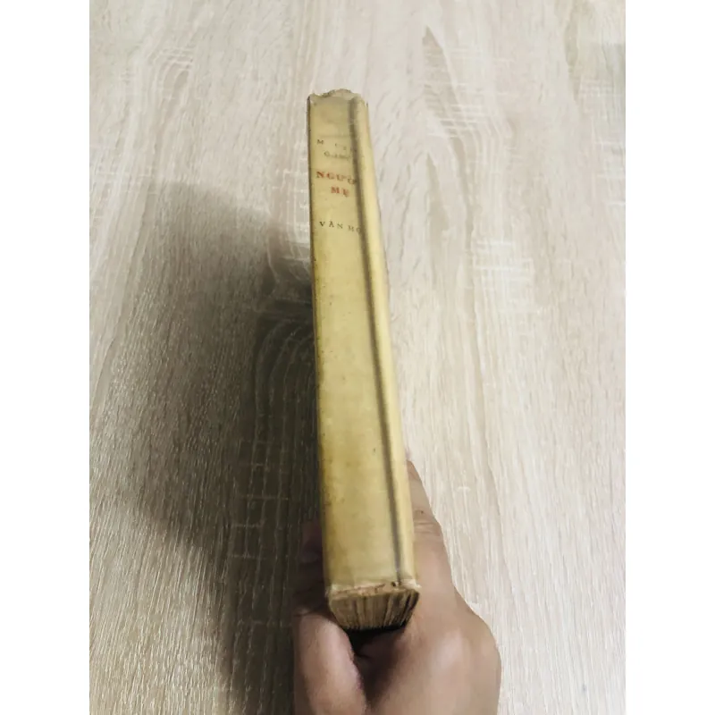 NGƯỜI MẸ  1975 957221