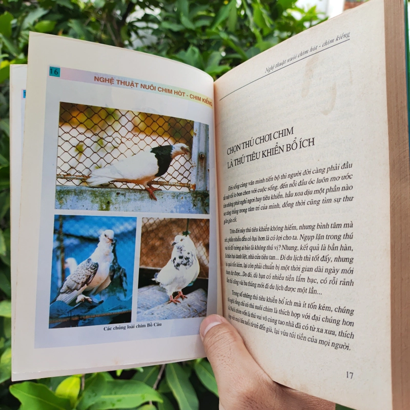 Nghệ Thuật Nuôi Chim Hót - Chim Kiểng 532116