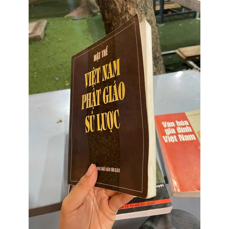 VIỆT NAM PHẬT GIÁO SỬ LƯỢC - MẬT THỂ 446251