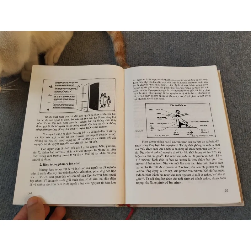 NĂNG LƯỢNG NGUYÊN TỬ VÀ ĐỜI SỐNG - GS.TS. ĐINH NGỌC LÂN 727184