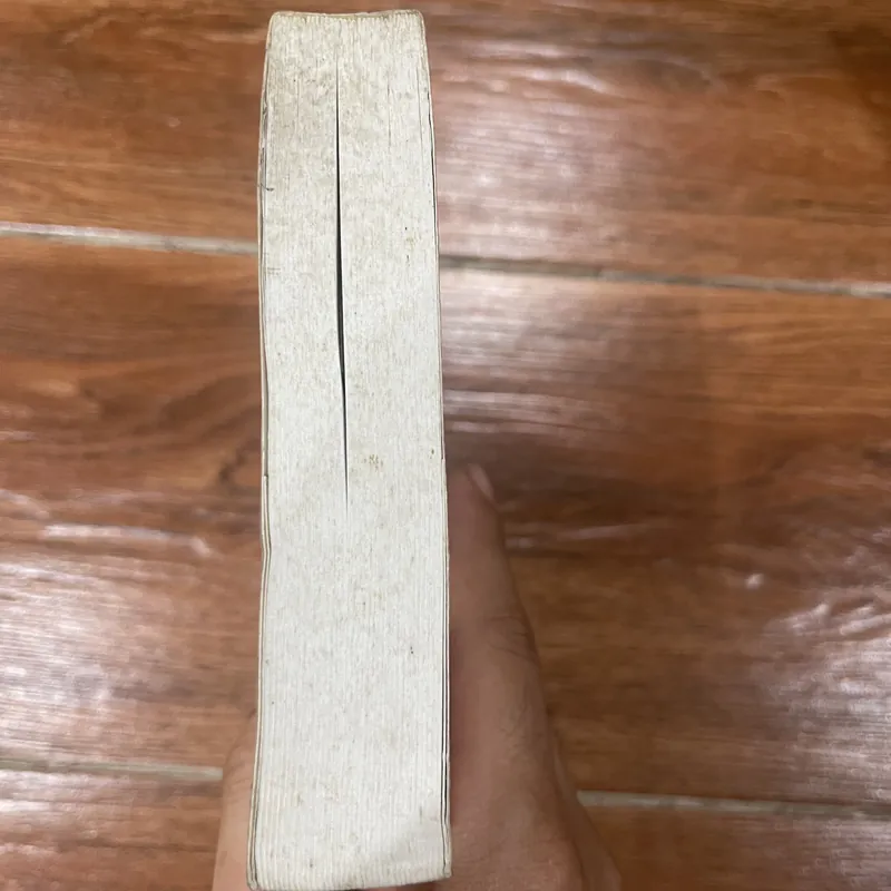 Các vấn đề tư tưởng căn bản - Tuyển tập tiểu luận tham khảo  (15) 568976