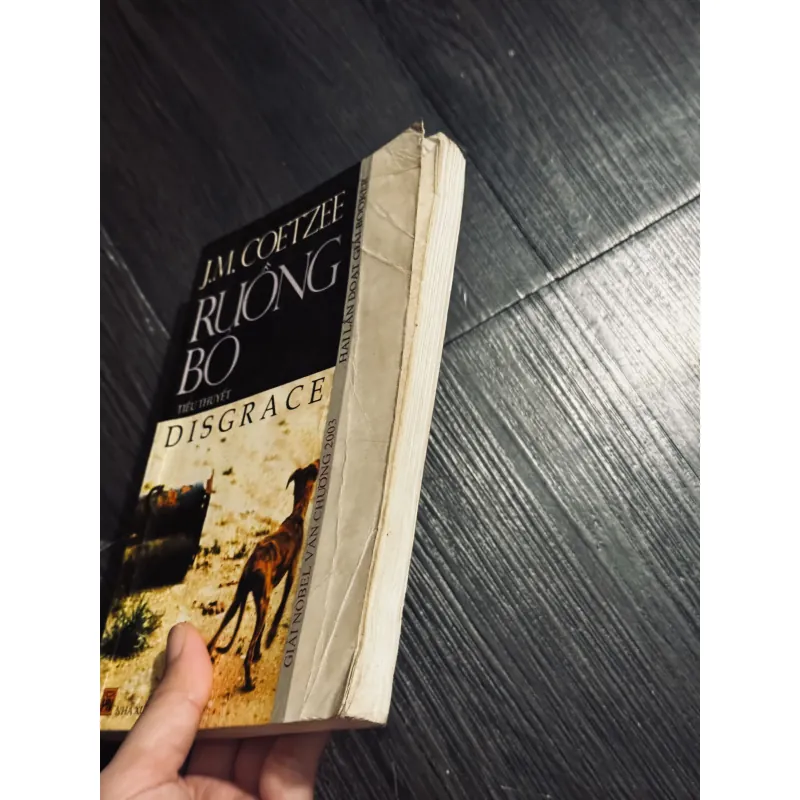 Ruồng bỏ - J.M. Coetzee 1019352