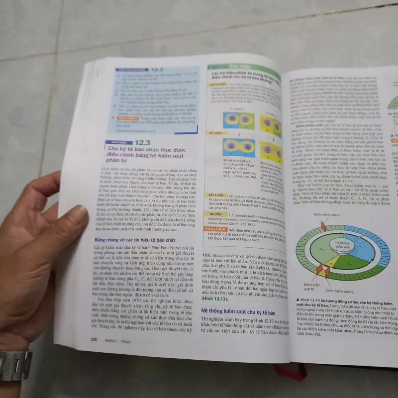 Sinh học Campbell 972269