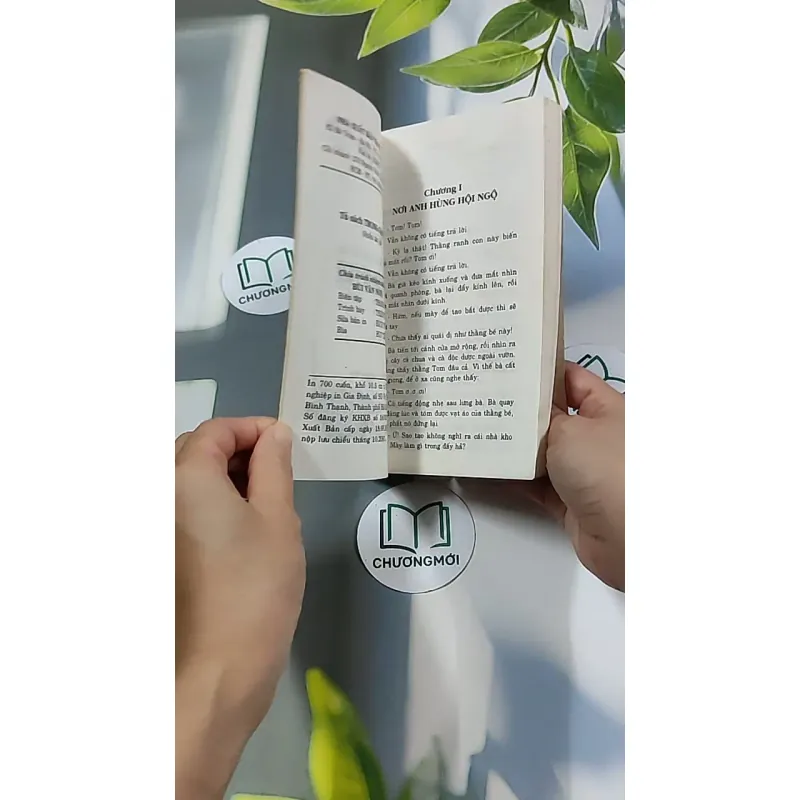 Những Cuộc Phiêu Lưu Của Tom Sawyer 604591