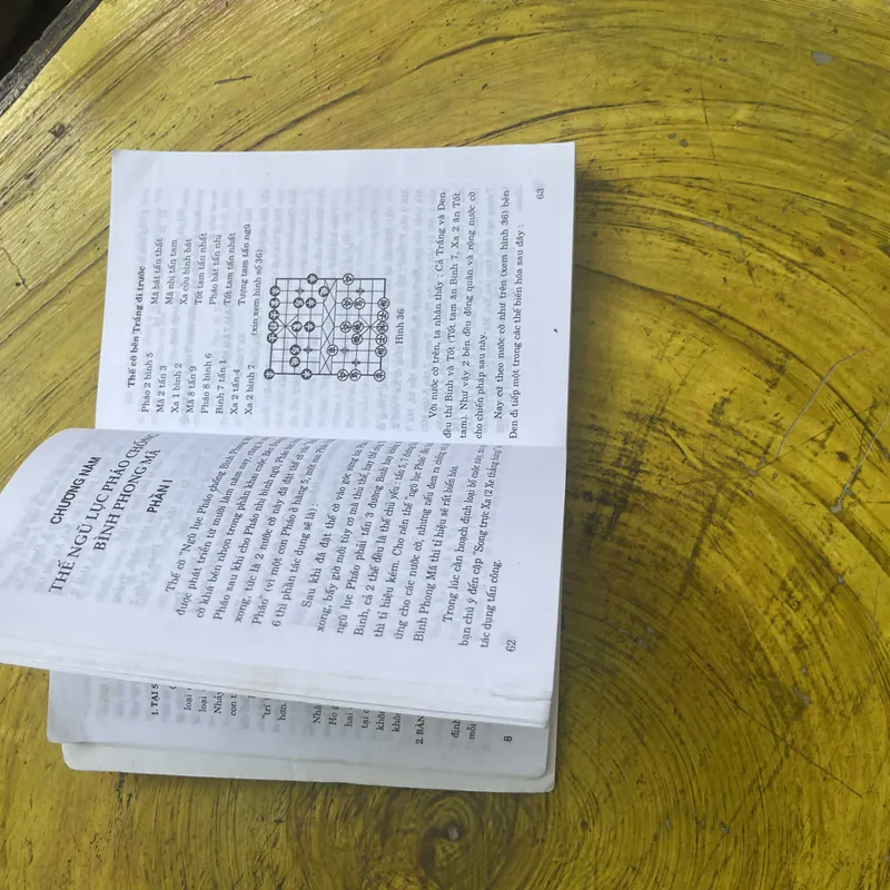 COMBO CẨM NANG CỜ TƯỚNG- NƯỚC ĐI LỢI HẠI CỦA CHỐT VÀ TƯỚNG 596635