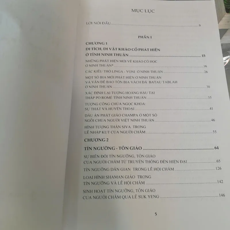 TIẾP CẬN MỘT SỐ VẤN ĐỀ VĂN HÓA CHAMPA - SAKAYA 977682