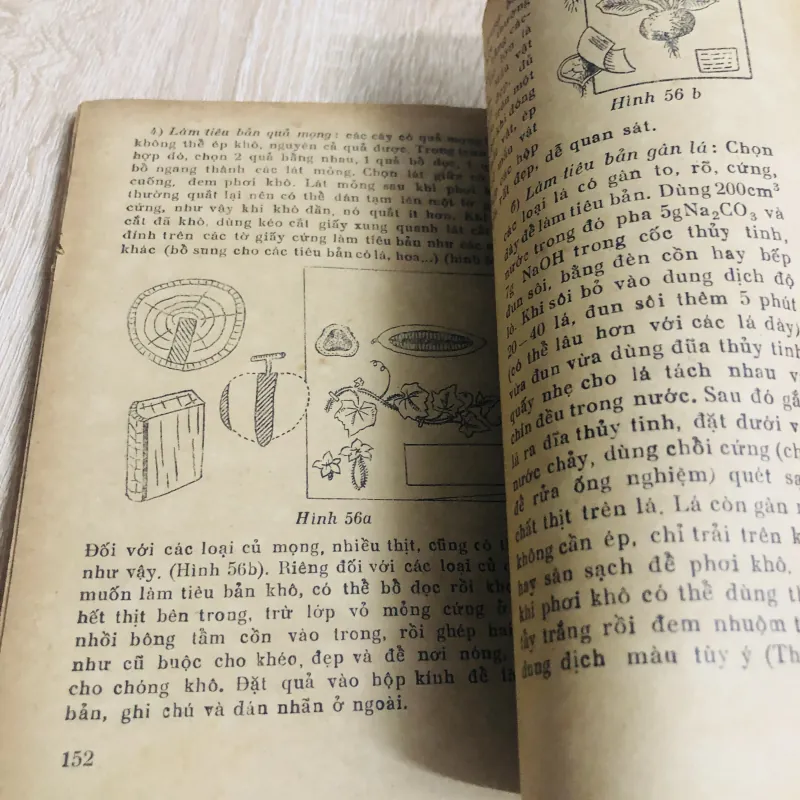 KỸ THUẬT THU HÁI MẪU VẬT - LÀM TIÊU BẢN CÂY CỎ 956928