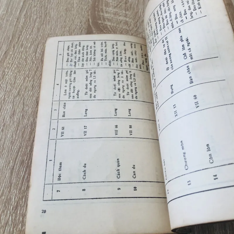 BẤM HUYỆT CHỮA BỆNH  1004856