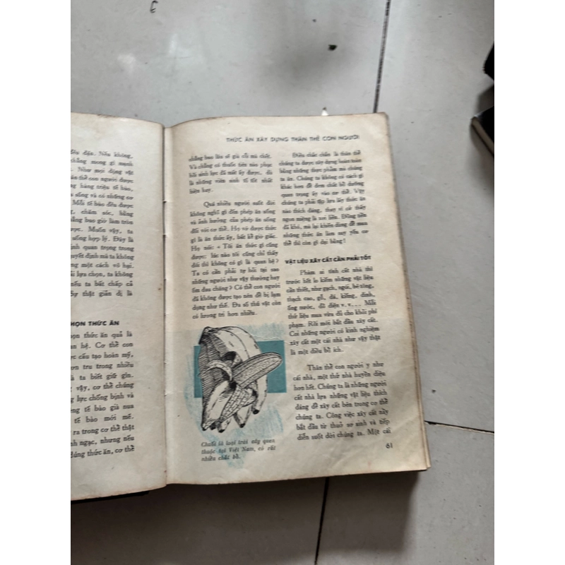 Sức khoẻ trường thọ 522706