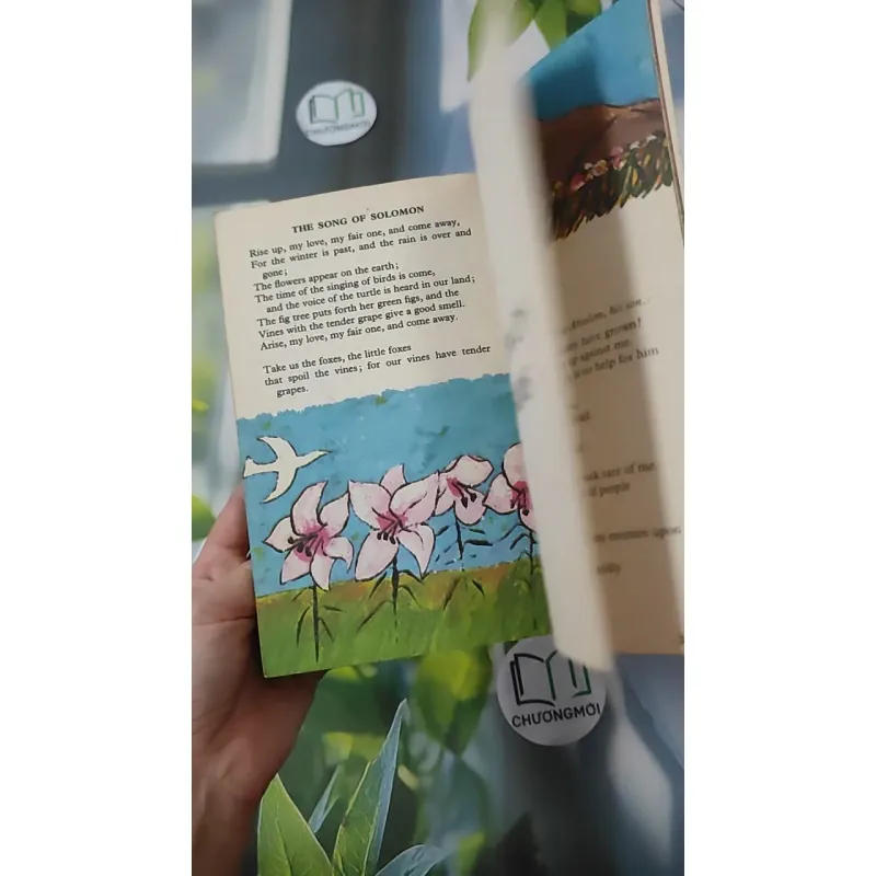 [MIỄN PHÍ BỌC SÁCH] [XƯA] A Child's Bible: Old Testament (1982) - Anne Edwards 1027586