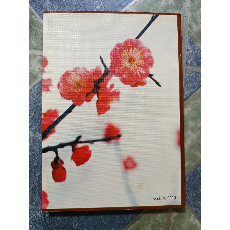 Mùa xuân và phong tục Việt Nam 1000186