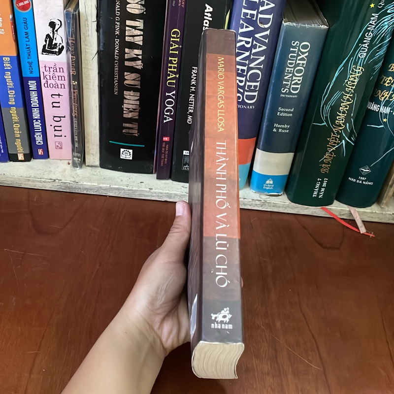 II Nobel Văn Chương 2010: Thành Phố Và Lũ Chó - MARIO VARGAS LLOSA - 2012 541284