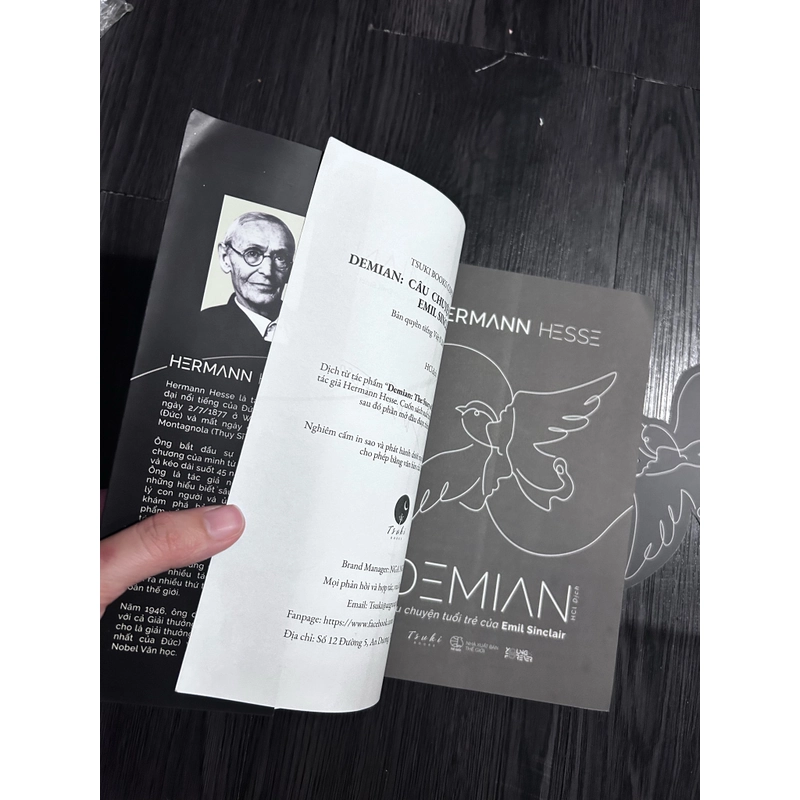 Demian - Hermann Hesse 367046