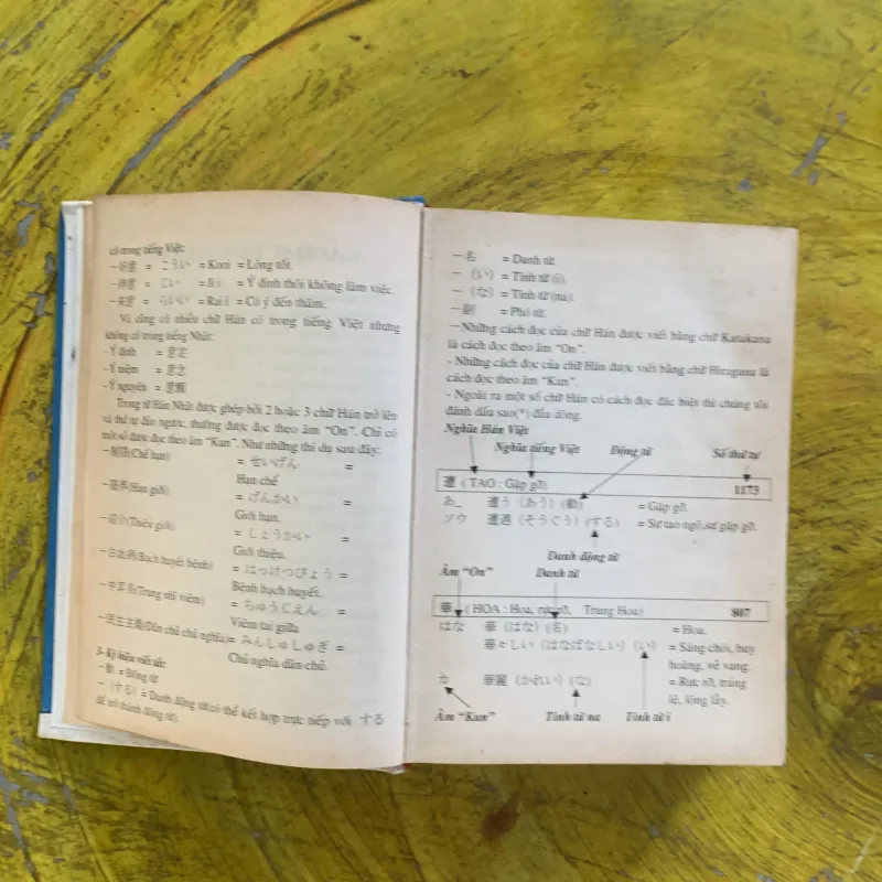 TỪ ĐIỂN HÁN - NHẬT - VIỆT - Trần Việt Thanh & Lê Nguyễn Hào Kiệt 1031289