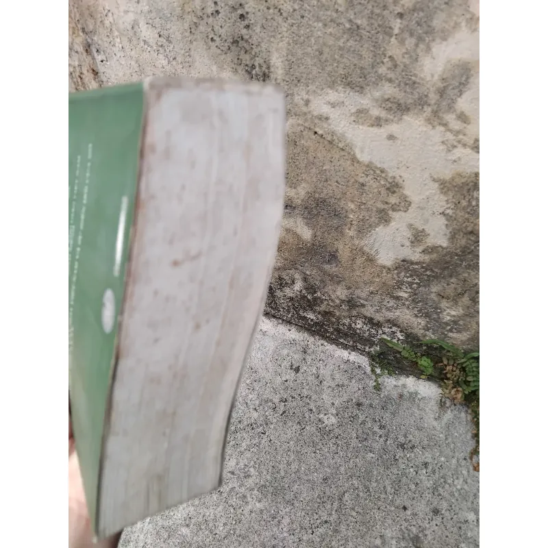 Về văn học dân gian xứ Nghệ của GS Ninh Viết Giao  1005726