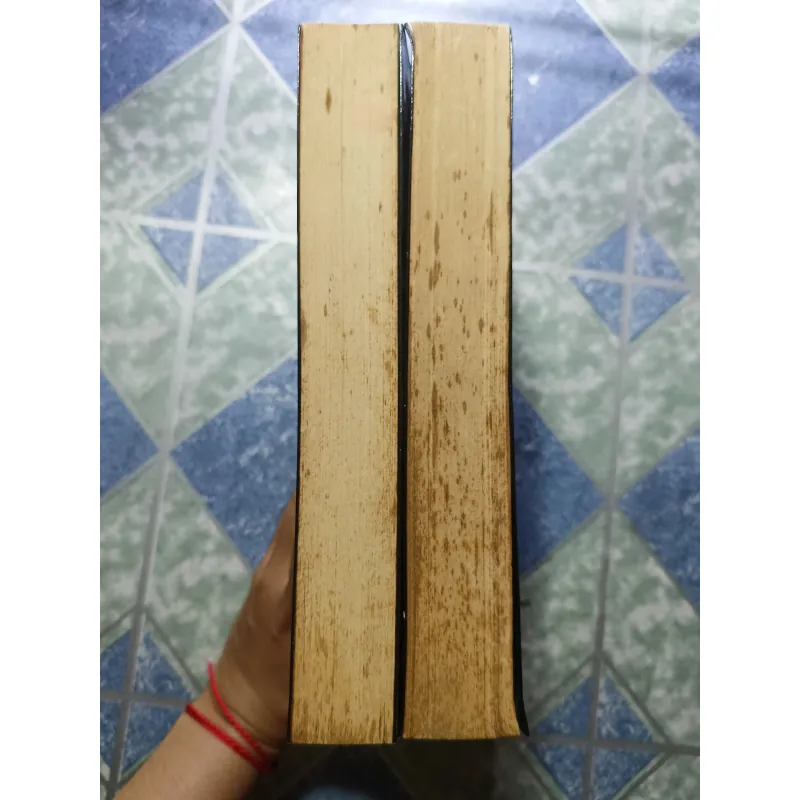 Đạo tình ( 2 tập) - Chu Ngọc 1008118