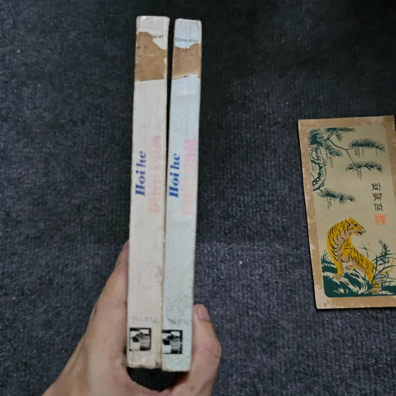 Hội hè đình đám - nếp cũ - toan ánh 746276