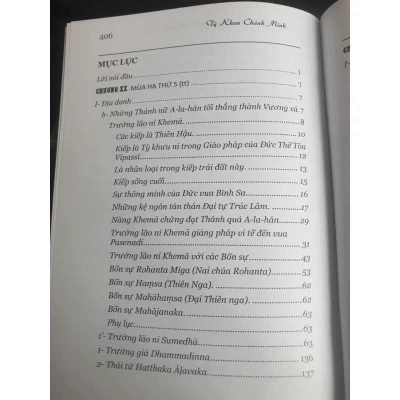 Đức Phật và 45 Năm Hoằng Pháp Độ Sinh - Tập 17 756011