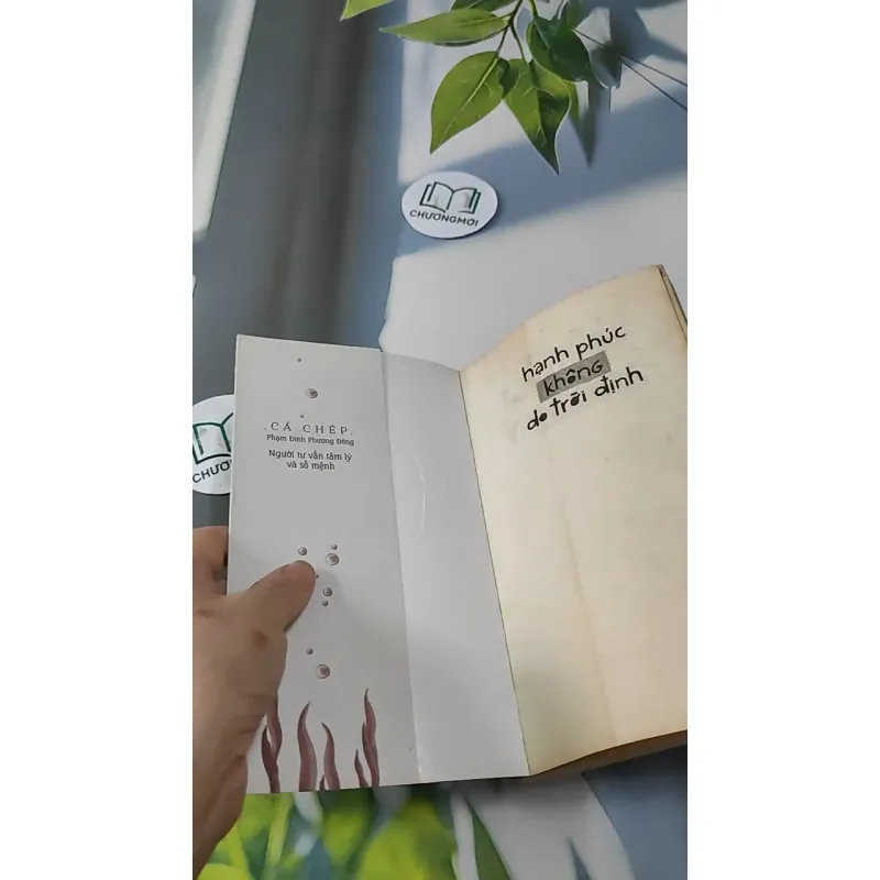 Hạnh Phúc Không Do Trời Định - Cá Chép 727225