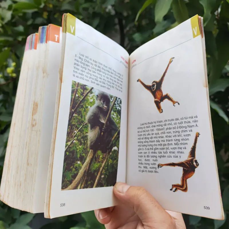 Từ Điển Tranh Về Các Con Vật - Lê Quang Long 753786