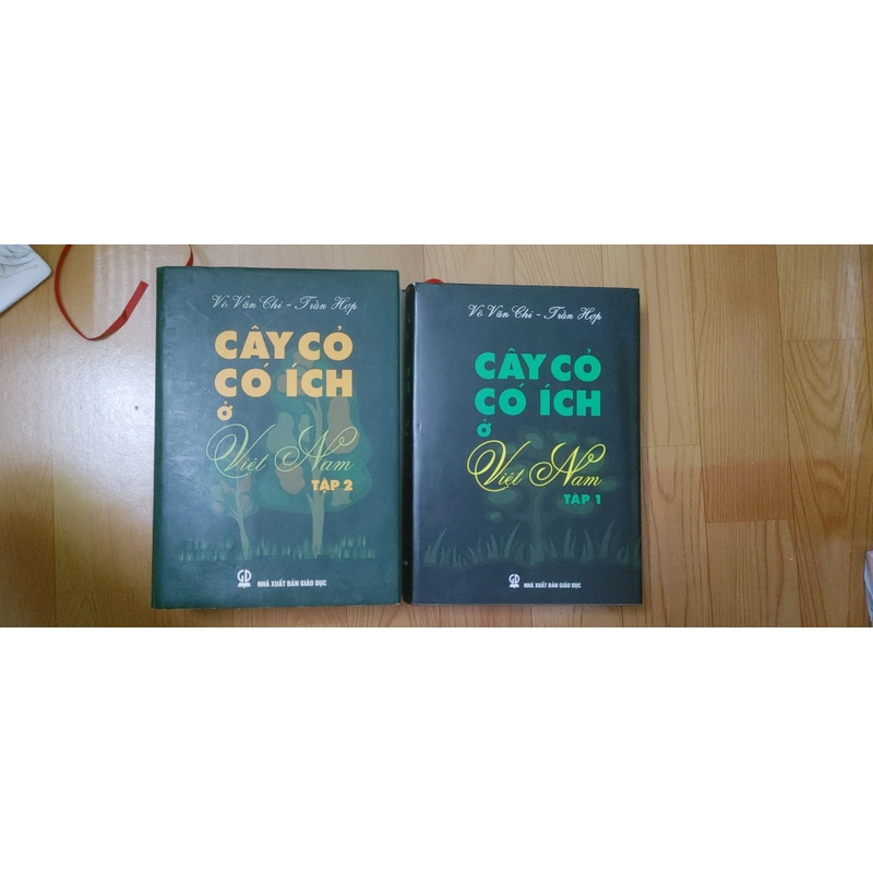 CÂY CỎ CÓ IT Việt Nam  502455