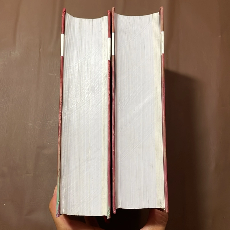 II Tựa sách: Chân Dung Và Kỷ Niệm _ Trường Nguyễn Hoàng (Tập 10C) - Nhiều Tác Giả - 2019 523164