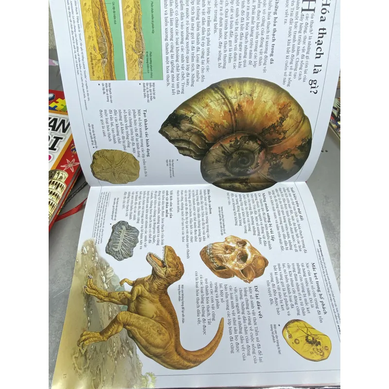 📘 BÁCH KHOA LỊCH SỬ THẾ GIỚI – ENCYCLOPEDIA OF WORLD HISTORY  597068