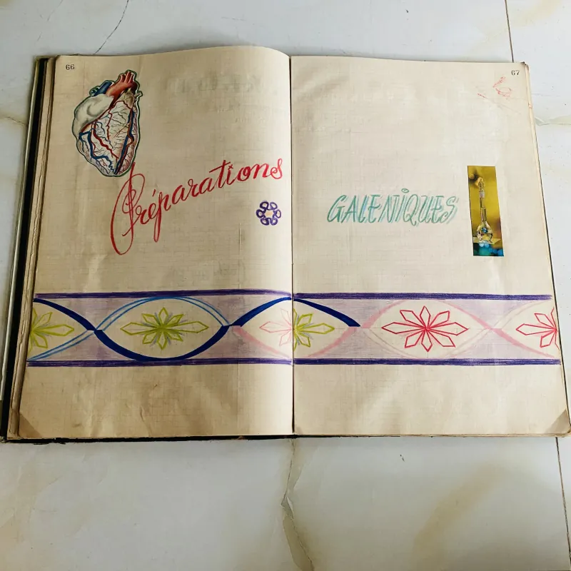 Sổ dược khoa viết tay (1969) 1013337