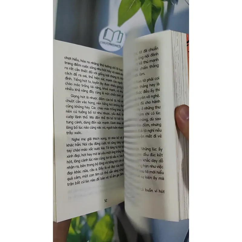 Chuyện Của Bôn Bôn - Chiến Binh Chào Mào - Đoàn Bảo Châu 798485