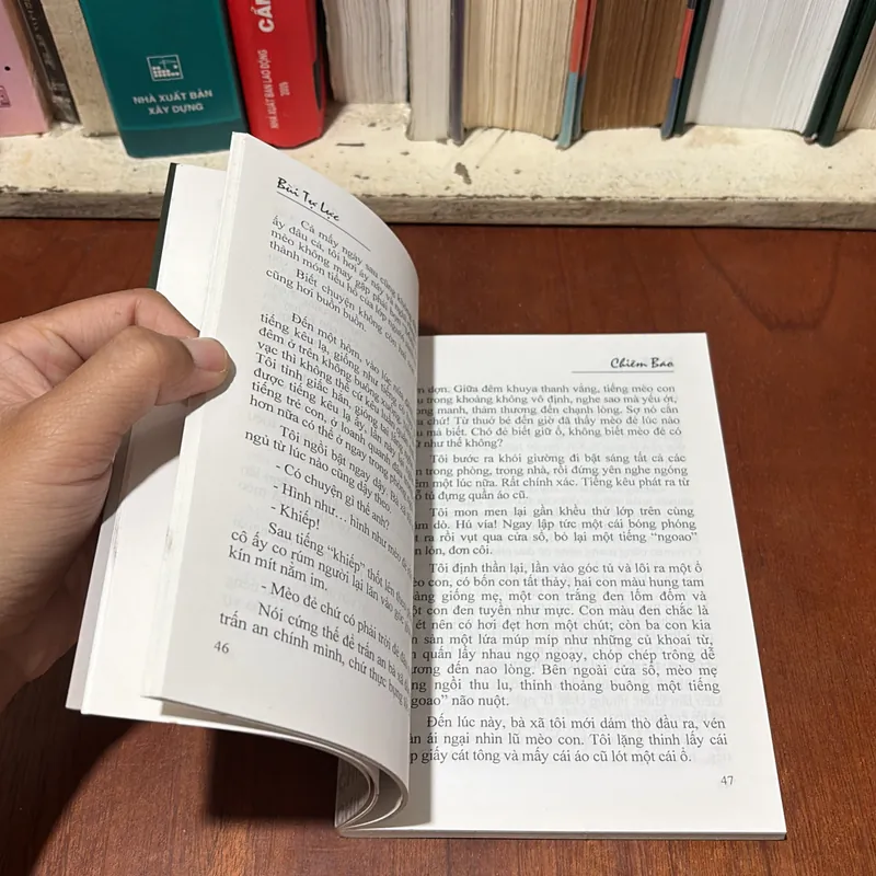 [Chữ Ký Tác Giả] - II Truyện Ngắn: Chiêm Bao - Bùi Tự Lực - 2008 739413