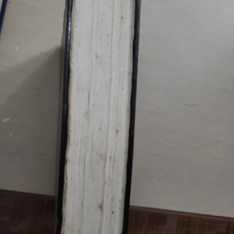 Sách Những kiệt tác văn chương thế giới của Trần Mạnh Thường 542973