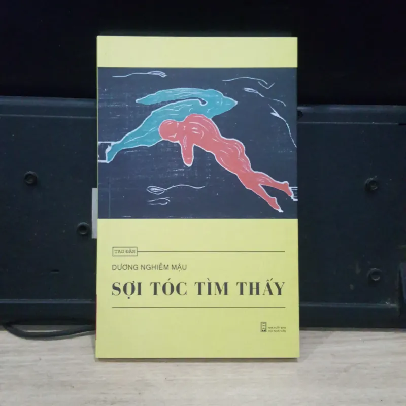 Sợi tóc tìm thấy - Dương Nghiễm Mậu 977257