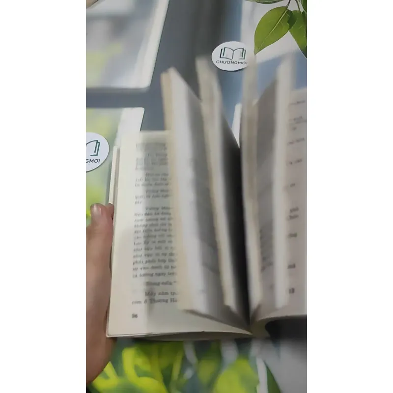 Người Đàn Bà Trong Tướng Mệnh - Lê Thành 727384