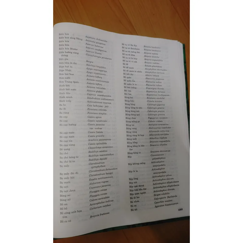 TỪ ĐIỂN THỰC VẬT THÔNG DỤNG TẬP 1 676003