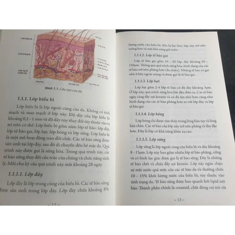 Các Hoạt Chất Mesotherapy Ứng Dụng Trong Da Liễu Thẩm Mỹ - Dược Sĩ Tiến 695622