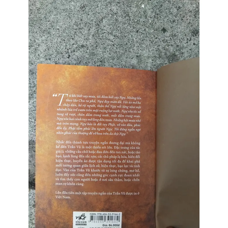 Phép tính của một nho sỹ của Trần Vũ  1004687