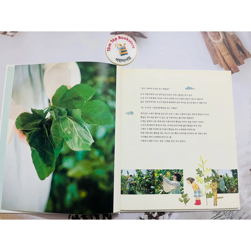 𝐒𝐞𝐭 𝐬𝐚́𝐜𝐡 𝐭𝐢̀𝐦 𝐡𝐢𝐞̂̉𝐮 𝐯𝐚̆𝐧 𝐡𝐨́𝐚 𝐇𝐚̀𝐧 𝐐𝐮𝐨̂́𝐜 호박돌 우리문화 496929